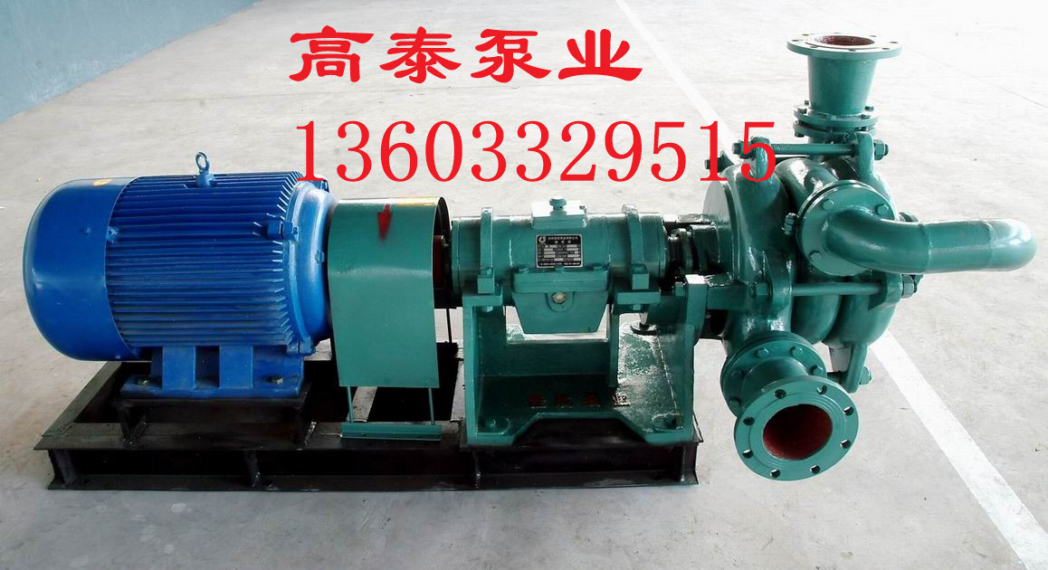 壓濾機(jī)專(zhuān)用入料泵價(jià)格洗沙廠(chǎng)專(zhuān)用壓濾機(jī)泵