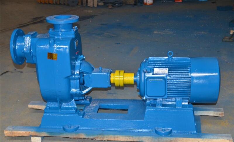 新聞100ZW100-20ZW型無(wú)堵塞自吸式排污泵品質(zhì)優(yōu)