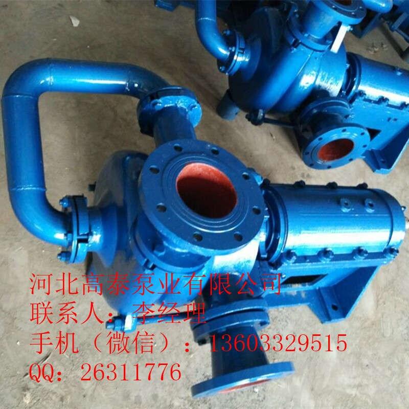 100ZJW-II系列壓濾機入料泵 ZJW壓濾機專用雜質(zhì)泵
